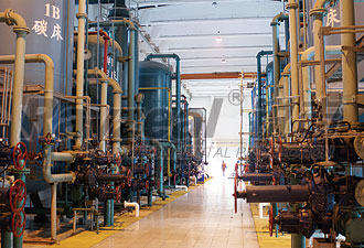 陰陽離子交換器